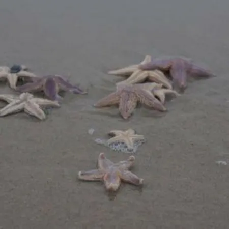 Сasa de vacaciones Buiten 58